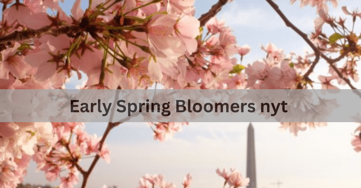 Early Spring Bloomers nyt